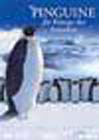 Pinguine - die Könige der Antarktis